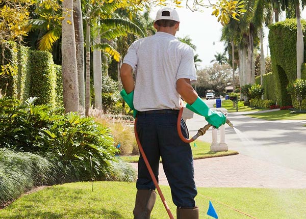 About Coello IL Pest Control